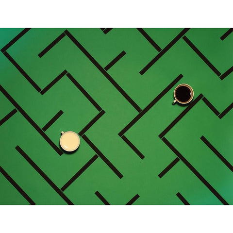 The Chase Black Modern Wood Framed Art Print with Double Matting by Lemos, Alfredo