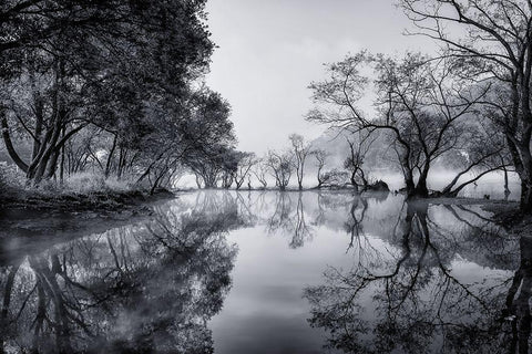 Healing Spot White Modern Wood Framed Art Print with Double Matting by Seo, Tiger