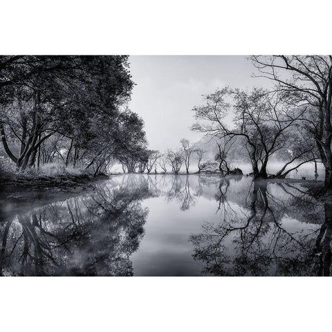 Healing Spot White Modern Wood Framed Art Print by Seo, Tiger