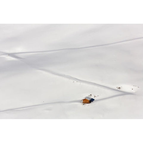 Lost In The Snow White Modern Wood Framed Art Print by Hermann, Uschi