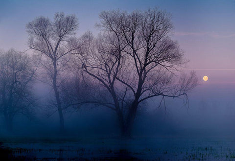 Another New Day White Modern Wood Framed Art Print with Double Matting by Agazzi, Andreas