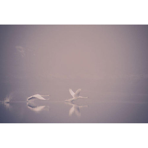 Foggy Takeoff Gold Ornate Wood Framed Art Print with Double Matting by Dalheim, Jonas