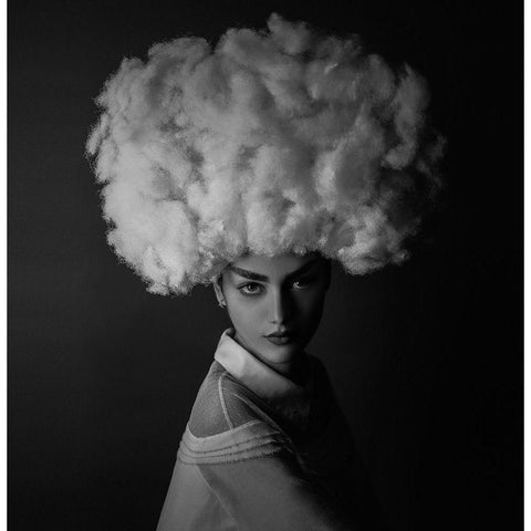 Nilofar White Modern Wood Framed Art Print by Hamidnezhad, Amin