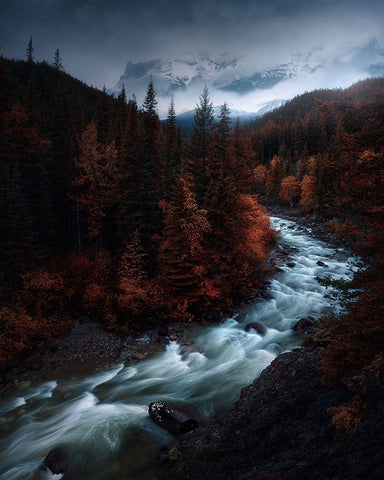 Sin Lineas. Black Ornate Wood Framed Art Print with Double Matting by Pablo de, Juan