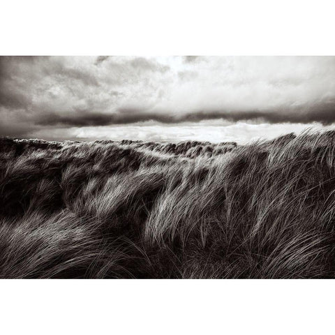 Dunes Of Grass White Modern Wood Framed Art Print by Paul