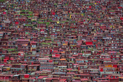 Larung Gar Black Ornate Wood Framed Art Print with Double Matting by Tianyu