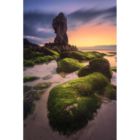 Lumeboo Gold Ornate Wood Framed Art Print with Double Matting by F. Turienzo, Carlos