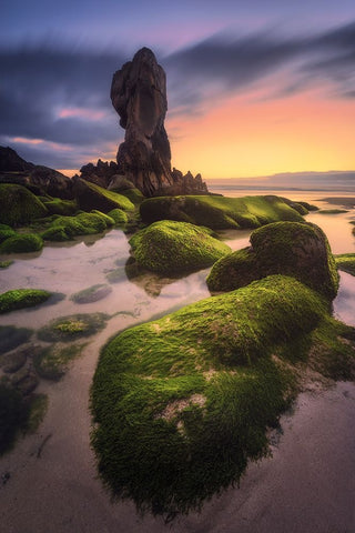 Lumeboo Black Ornate Wood Framed Art Print with Double Matting by F. Turienzo, Carlos