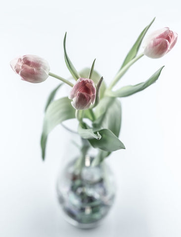 For My Girl White Modern Wood Framed Art Print with Double Matting by Skvortsov, Dmitry