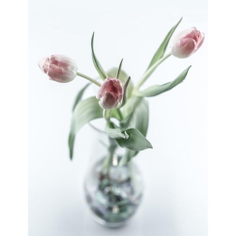 For My Girl Gold Ornate Wood Framed Art Print with Double Matting by Skvortsov, Dmitry