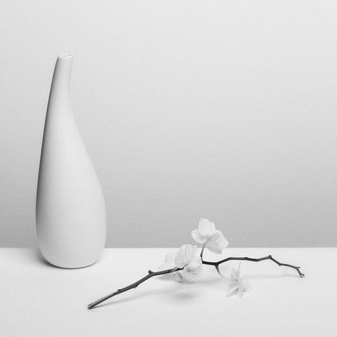 Pure Black Ornate Wood Framed Art Print with Double Matting by Oveckova, Kristina