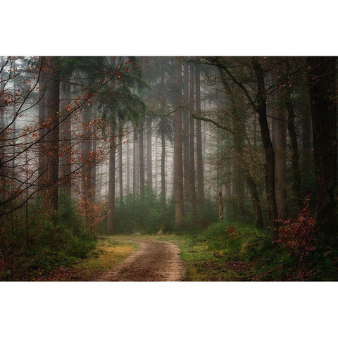 Reveries Black Modern Wood Framed Art Print with Double Matting by Borggreve, Ellen