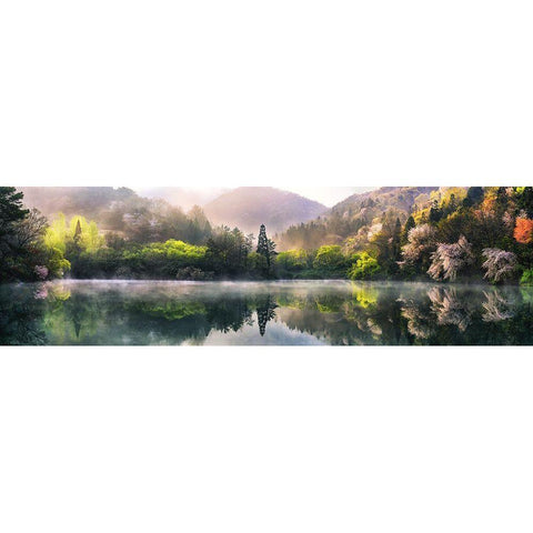 Morning Calm Black Modern Wood Framed Art Print by Seo, Tiger