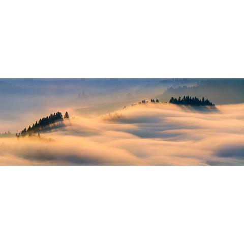 Misty Morning Black Modern Wood Framed Art Print by Kruczynski, Wojciech