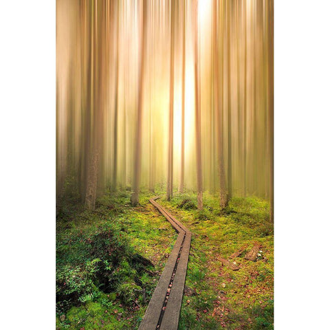 Into The Light Gold Ornate Wood Framed Art Print with Double Matting by Lindsten, Christian