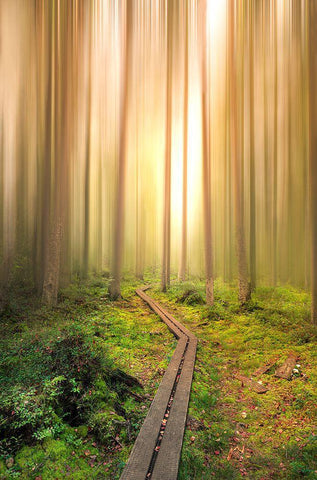 Into The Light White Modern Wood Framed Art Print with Double Matting by Lindsten, Christian