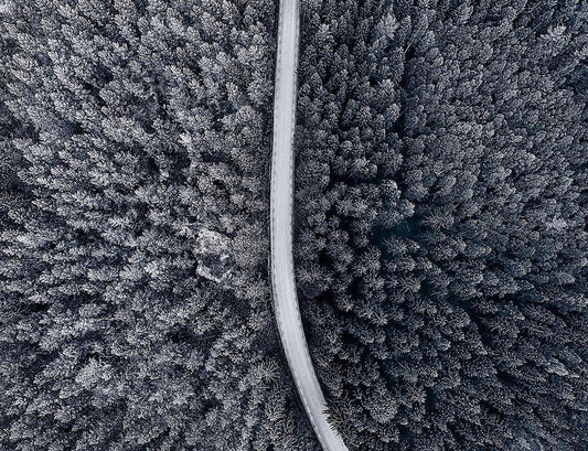 Image Only