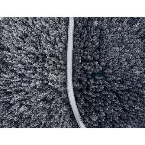 Divided Black Modern Wood Framed Art Print with Double Matting by Lindsten, Christian