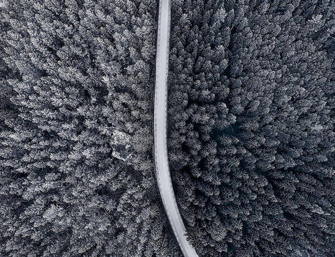 Divided White Modern Wood Framed Art Print with Double Matting by Lindsten, Christian