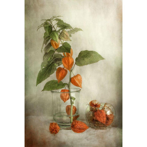 Lanterns White Modern Wood Framed Art Print by Disher, Mandy