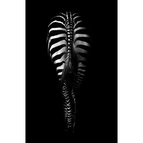 Untitled Black Modern Wood Framed Art Print by Grambone, Antonio