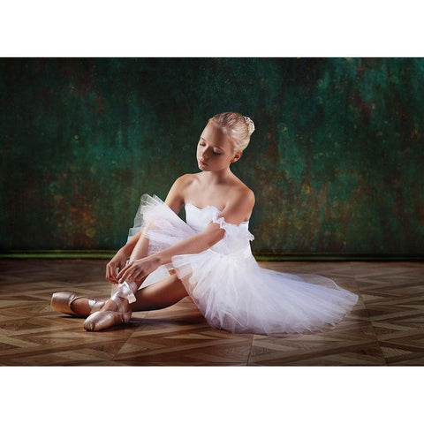 About Ballet White Modern Wood Framed Art Print by Lankina, Alina