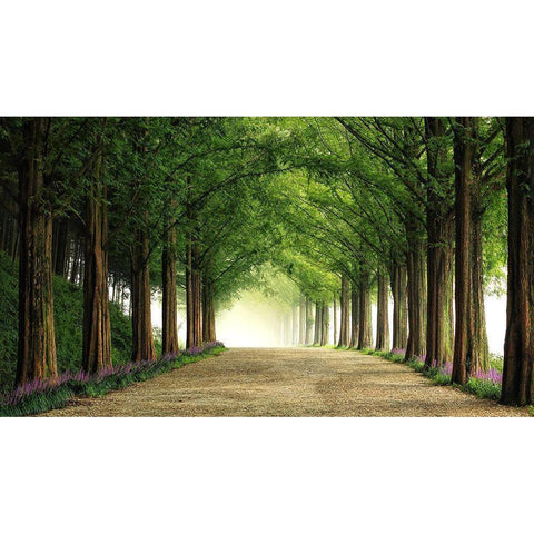 Metasequoia Road Black Modern Wood Framed Art Print by Seo, Tiger