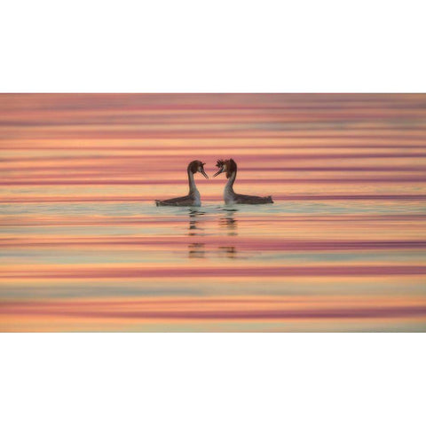 Lovers Black Modern Wood Framed Art Print with Double Matting by Marchegiani, Roberto