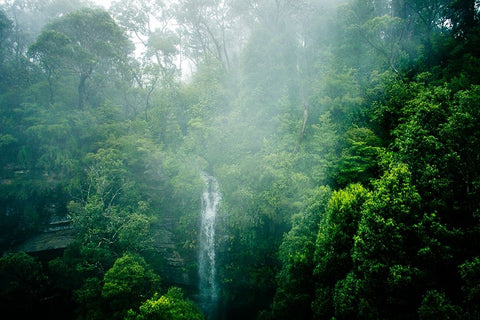 Green White Modern Wood Framed Art Print with Double Matting by Steinkopff, Robert