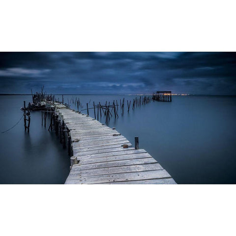 Carrasqueira Black Modern Wood Framed Art Print with Double Matting by Ribeiro, Rui