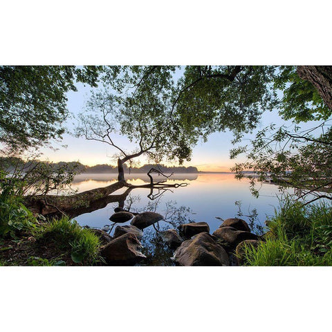 Lake View White Modern Wood Framed Art Print by Keller