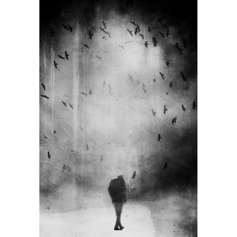 Untitled Black Modern Wood Framed Art Print by Riegler, Daniela