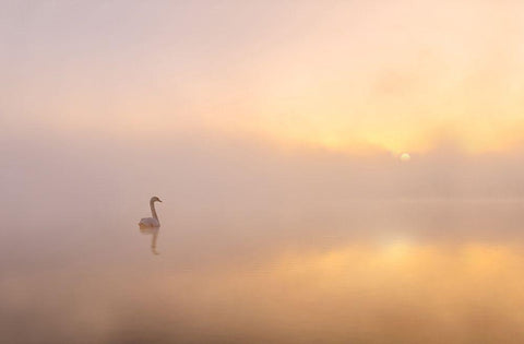 Misty Morning Black Ornate Wood Framed Art Print with Double Matting by Gritzmann, Katarzyna