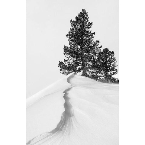 About The Snow And Forms White Modern Wood Framed Art Print by Nunez Buj, Rodrigo