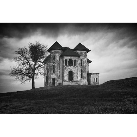 Rosianu Mansion Black Modern Wood Framed Art Print with Double Matting by Alexandru, Catalin