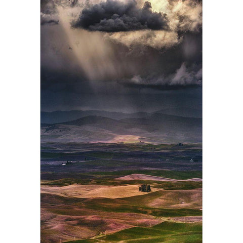 Rain Clouds Black Modern Wood Framed Art Print by Jacobs, Lydia