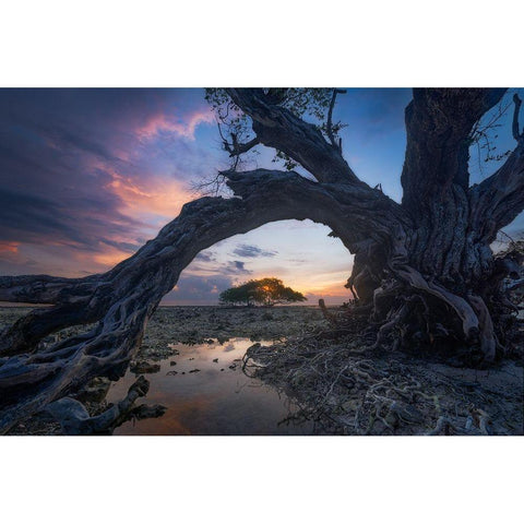 Dry White Modern Wood Framed Art Print by Rizal, Ade