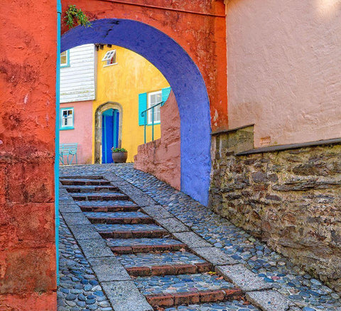 Portmerion Black Ornate Wood Framed Art Print with Double Matting by Mendoza, Danny