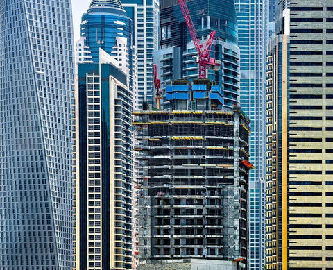 Trying To Fit In Black Ornate Wood Framed Art Print with Double Matting by Pearson, Wayne