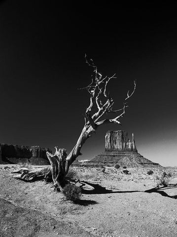 Monument Black Ornate Wood Framed Art Print with Double Matting by Triglia, Vinicio