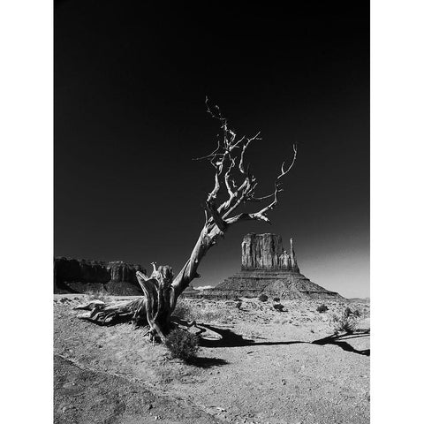 Monument Black Modern Wood Framed Art Print with Double Matting by Triglia, Vinicio