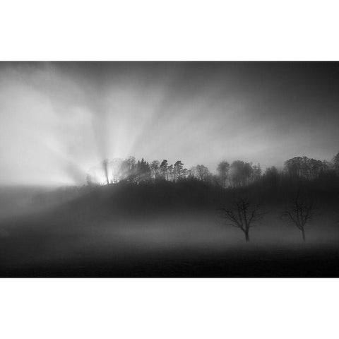 The Sun In The Fog Black Modern Wood Framed Art Print by Keller, Nic
