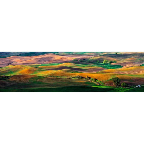 The Palouse Black Modern Wood Framed Art Print with Double Matting by Zhu, Hua