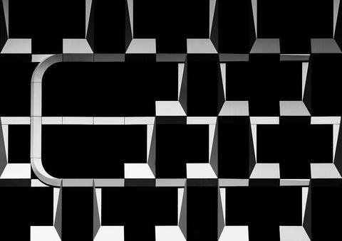 Face Fraud Black Ornate Wood Framed Art Print with Double Matting by Van Son, Greetje