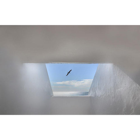 Hope Black Modern Wood Framed Art Print with Double Matting by Palceska, Anita