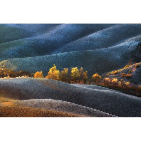 Dreamland Black Modern Wood Framed Art Print by Kravanja, Jure