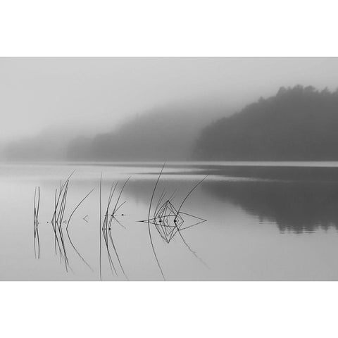 When You Can Hear The Silence Gold Ornate Wood Framed Art Print with Double Matting by Pettersson, Benny