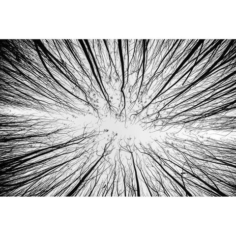 Up To The Sky Black Modern Wood Framed Art Print with Double Matting by Denisvesely