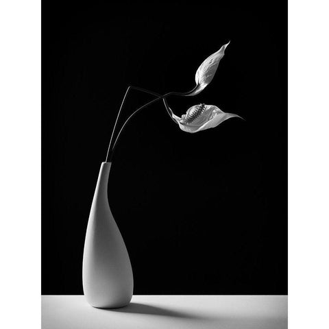 Passionately Black Modern Wood Framed Art Print by Oveckova, Kristina