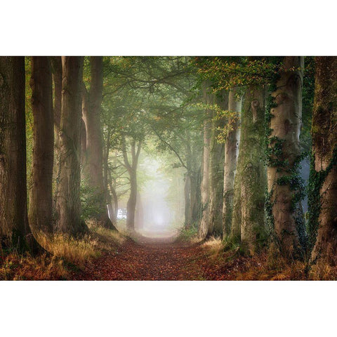 Forward White Modern Wood Framed Art Print by Borggreve, Ellen